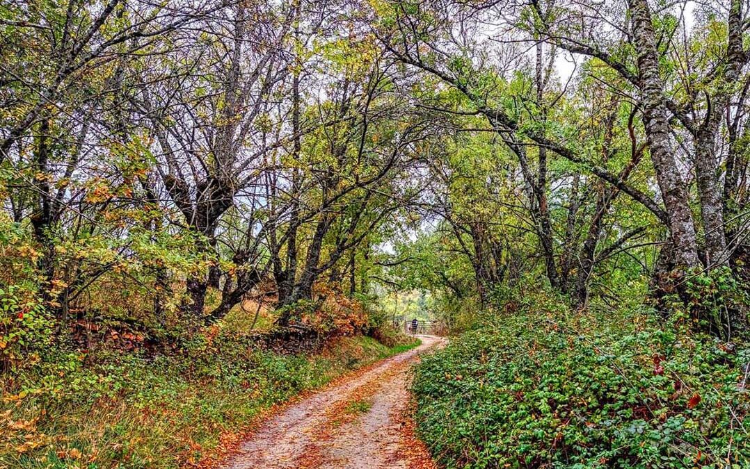 Maravillas de la Sierra del Rincón