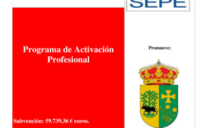 CARTEL SUBVENCIÓN ACTIVACIÓN PROFESIONAL 2025