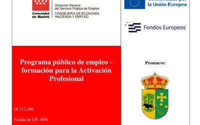 CARTEL SUBVENCIÓN FORMACIÓN PARA LA ACTIVACIÓN PROFESIONAL 2025