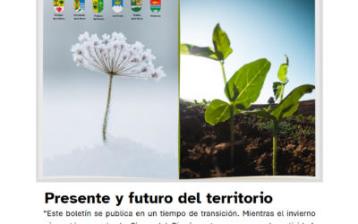 InfoRincón digital Marzo-Mayo