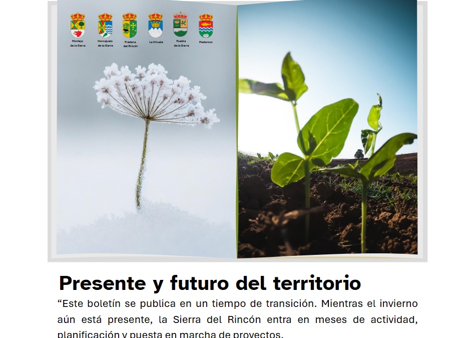 InfoRincón digital Marzo-Mayo