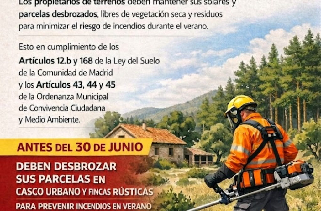 DESBROCE DE SOLARES Y PARCELAS