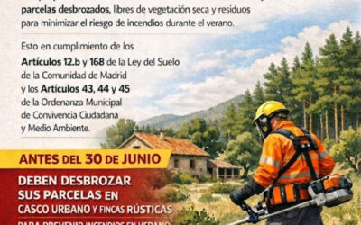 DESBROCE DE SOLARES Y PARCELAS